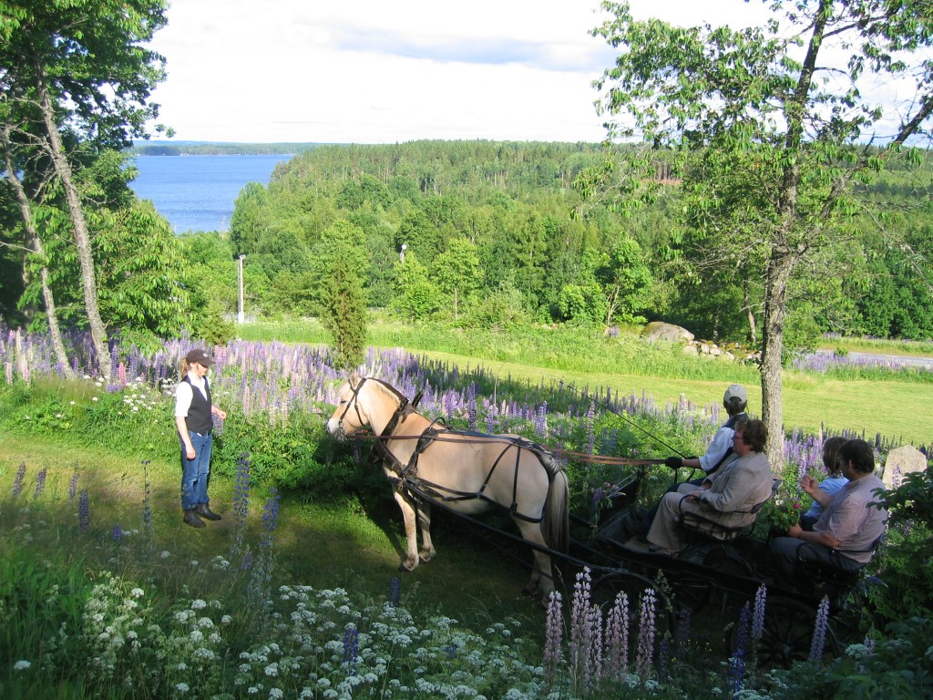 2005 Hästar Vagn (8)