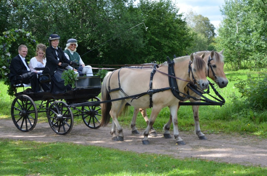 Häst och vagn till bröllopet